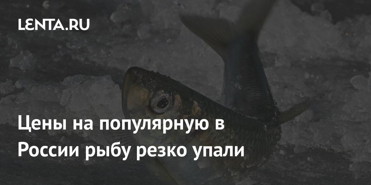 Цены на популярную в России сельдь упали на 30% за год Цены на популярную в России сельдь упали на 30% за год