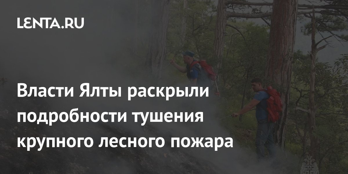 � ���� ���������� ������ ������ �����: ������������� 600 ������� � 50 ���������