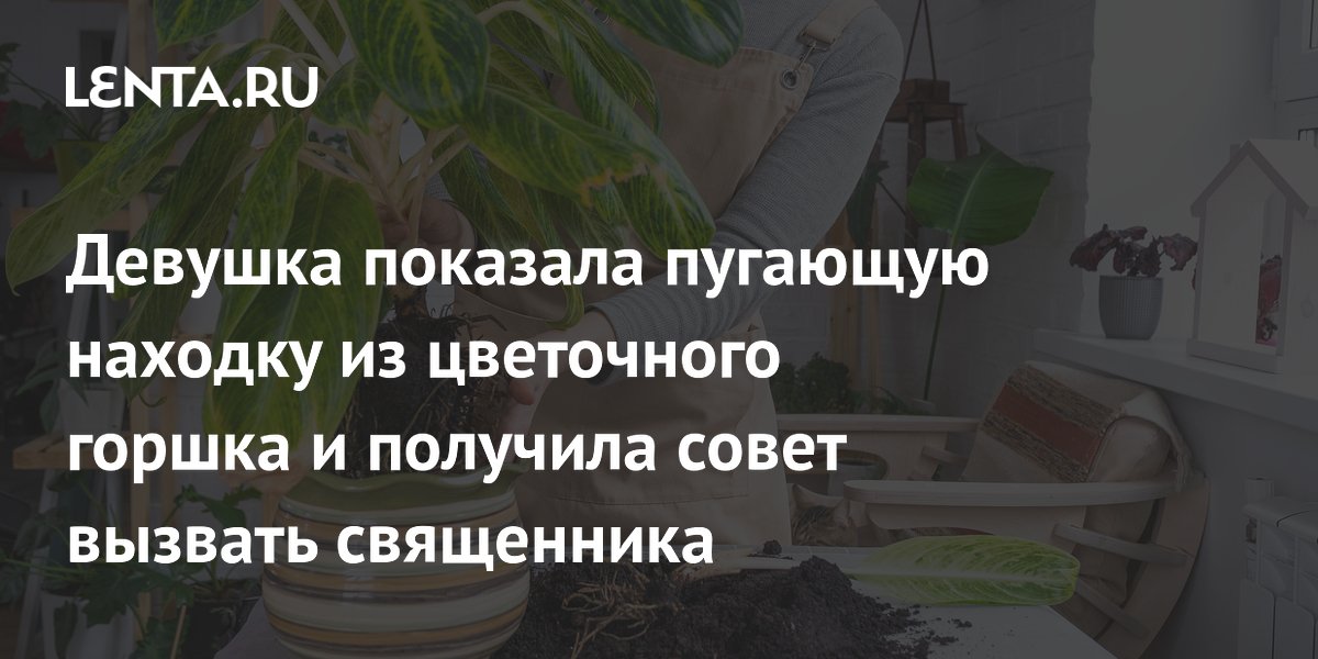 Девушка нашла в цветочном горшке куклу с грибом внутри и получила совет вызвать священника
