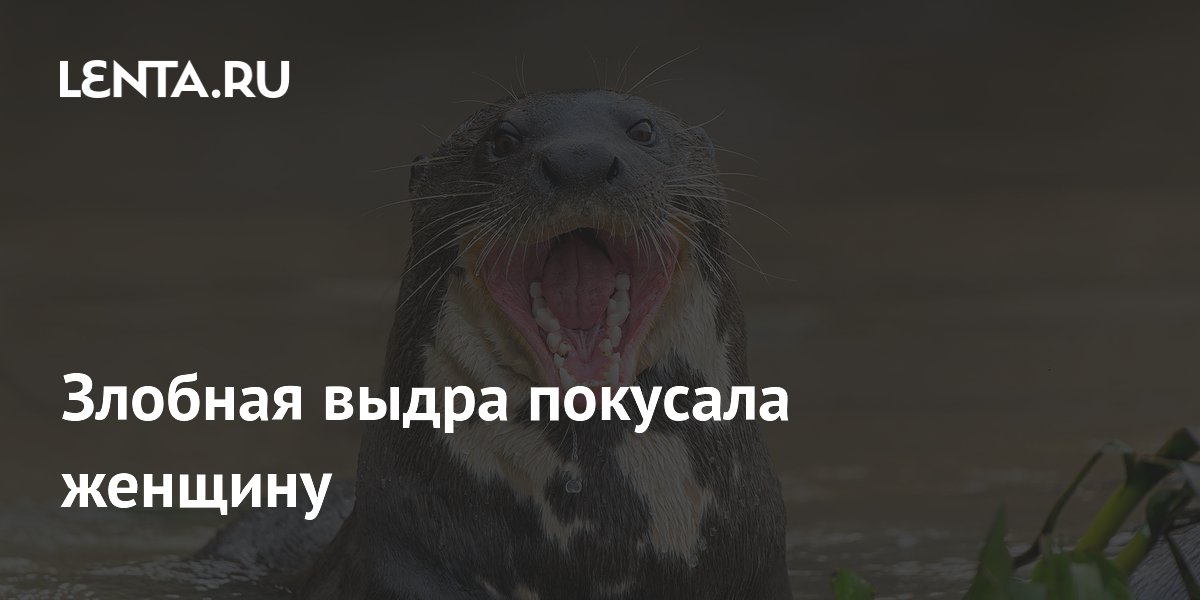 ����� ������ �� �������� � ����� ����: 38 ���� � ����� ������������