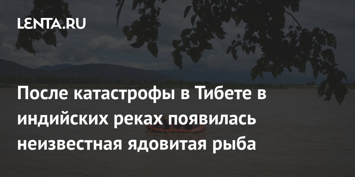В индийских реках после наводнения появилась неизвестная рыба: власти предупредили об отравлениях