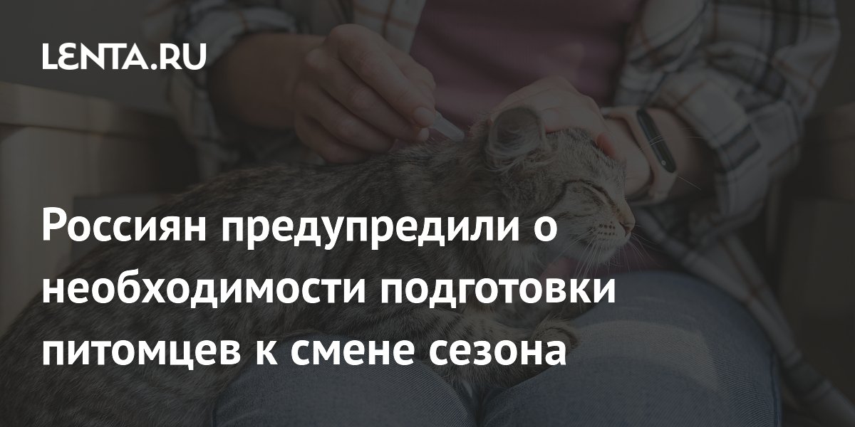 ����� ������ �� ����������: ����������� ���������, ��� ����������� ������� � �����