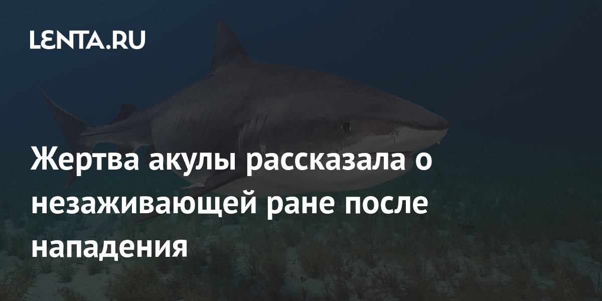 Австралийка три месяца живет с открытой раной после нападения акулы Австралийка три месяца живет с открытой раной после нападения акулы