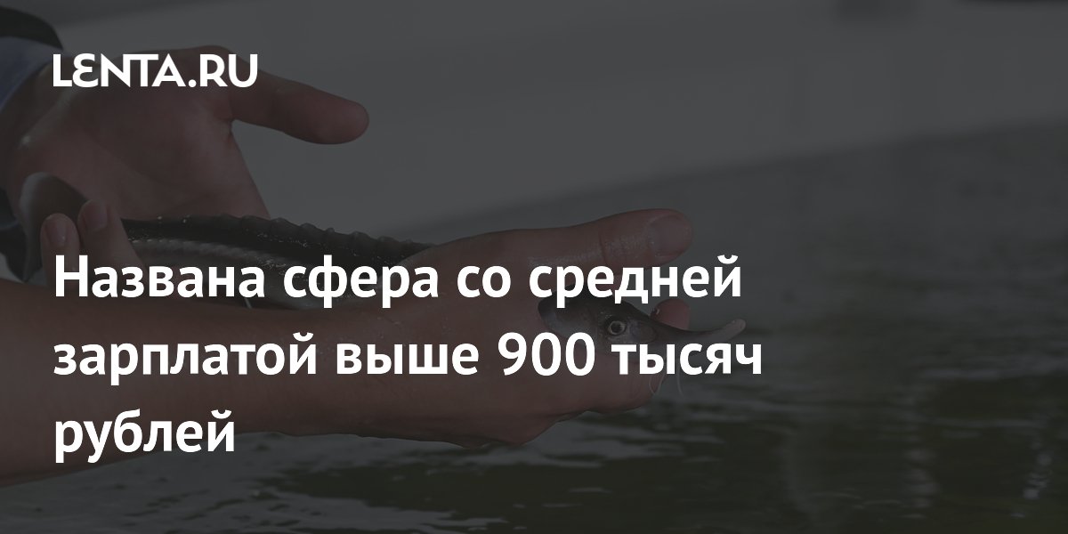 Средняя зарплата в морском рыбоводстве превысила 900 тысяч рублей Средняя зарплата в морском рыбоводстве превысила 900 тысяч рублей