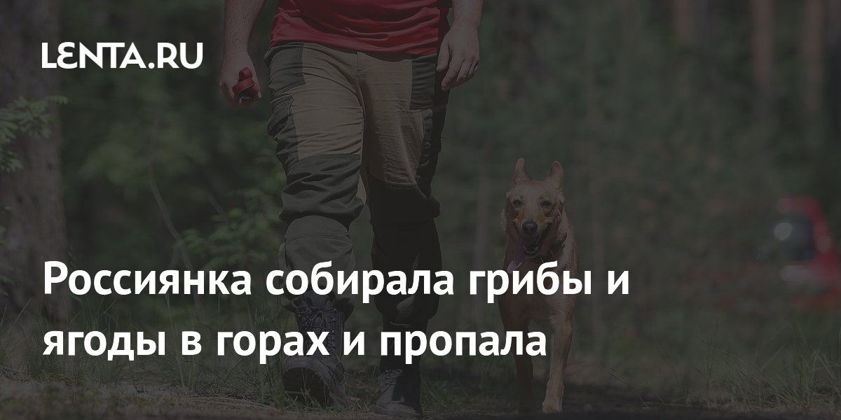 Россиянка пропала в горах Бурятии во время сбора грибов и ягод