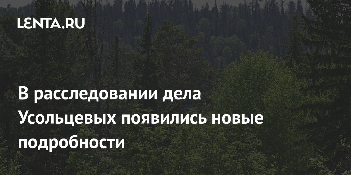 Более 120 человек допрошены по делу об исчезновении семьи Усольцевых