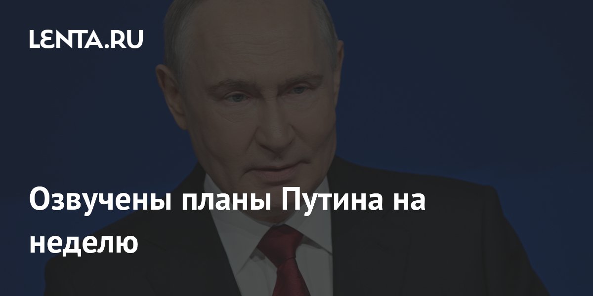 Путин примет делегацию Вьетнама и поедет на саммит БРИКС Путин примет делегацию Вьетнама и поедет на саммит БРИКС