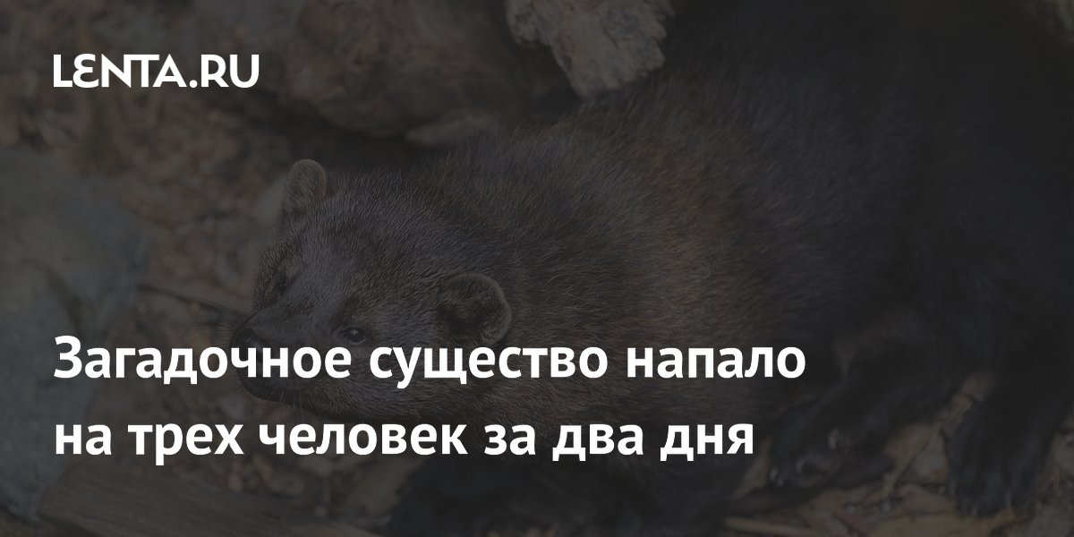 � ��� ����������� �������� �� ��� ��� ������ �� ���� �������