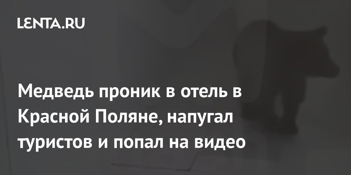 Медведь проник в отель «Поляна 1389» в Красной Поляне и попал на видео Медведь проник в отель «Поляна 1389» в Красной Поляне и попал на видео
