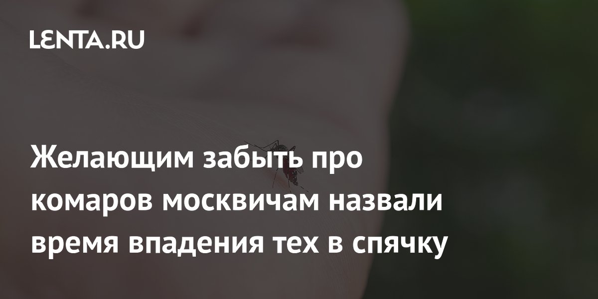 Москвичам объяснили, когда исчезнут комары и почему они вернутся весной Москвичам объяснили, когда исчезнут комары и почему они вернутся весной