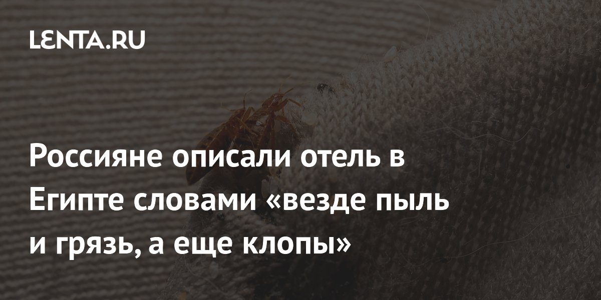 Российский турист пожаловался на клопов и грязь в отеле Египта
