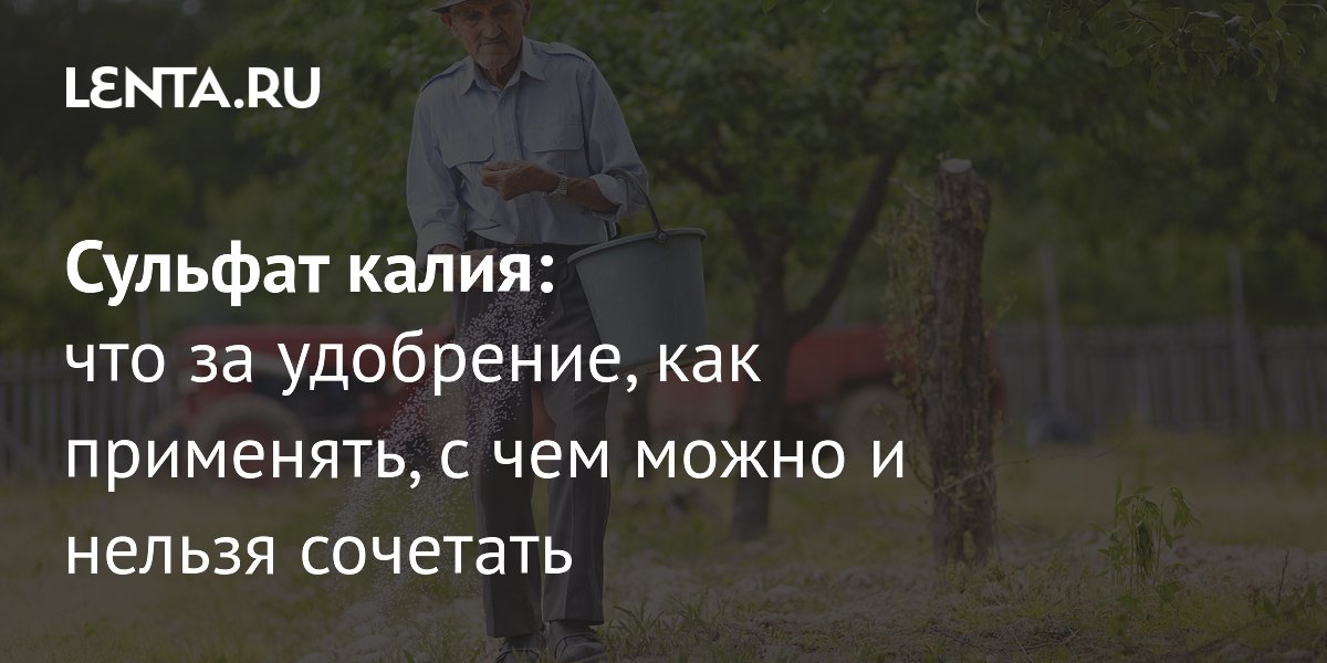 Сульфат калия: укрепляет корни, повышает урожай — как применять удобрение Сульфат калия: укрепляет корни, повышает урожай — как применять удобрение