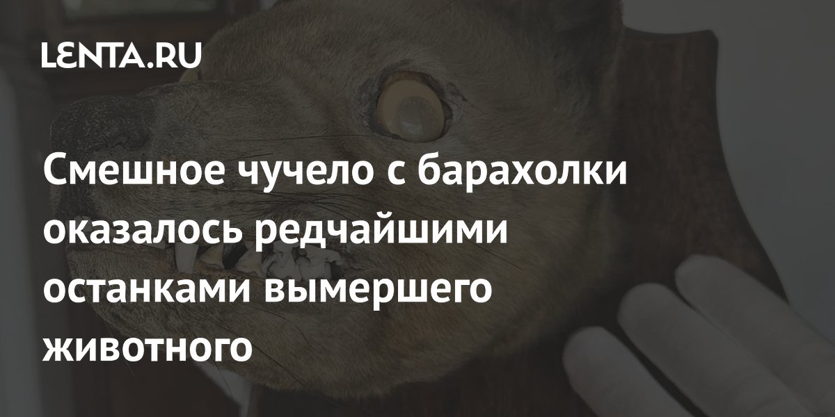 ������ � ��������� �� 50 ������ ��������� ������� ��������� ��������� �����