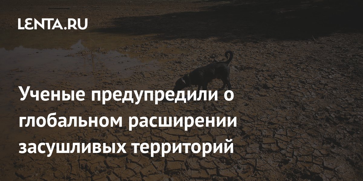 К 2100 году более 40% суши может стать засушливой — прогноз ученых К 2100 году более 40% суши может стать засушливой — прогноз ученых